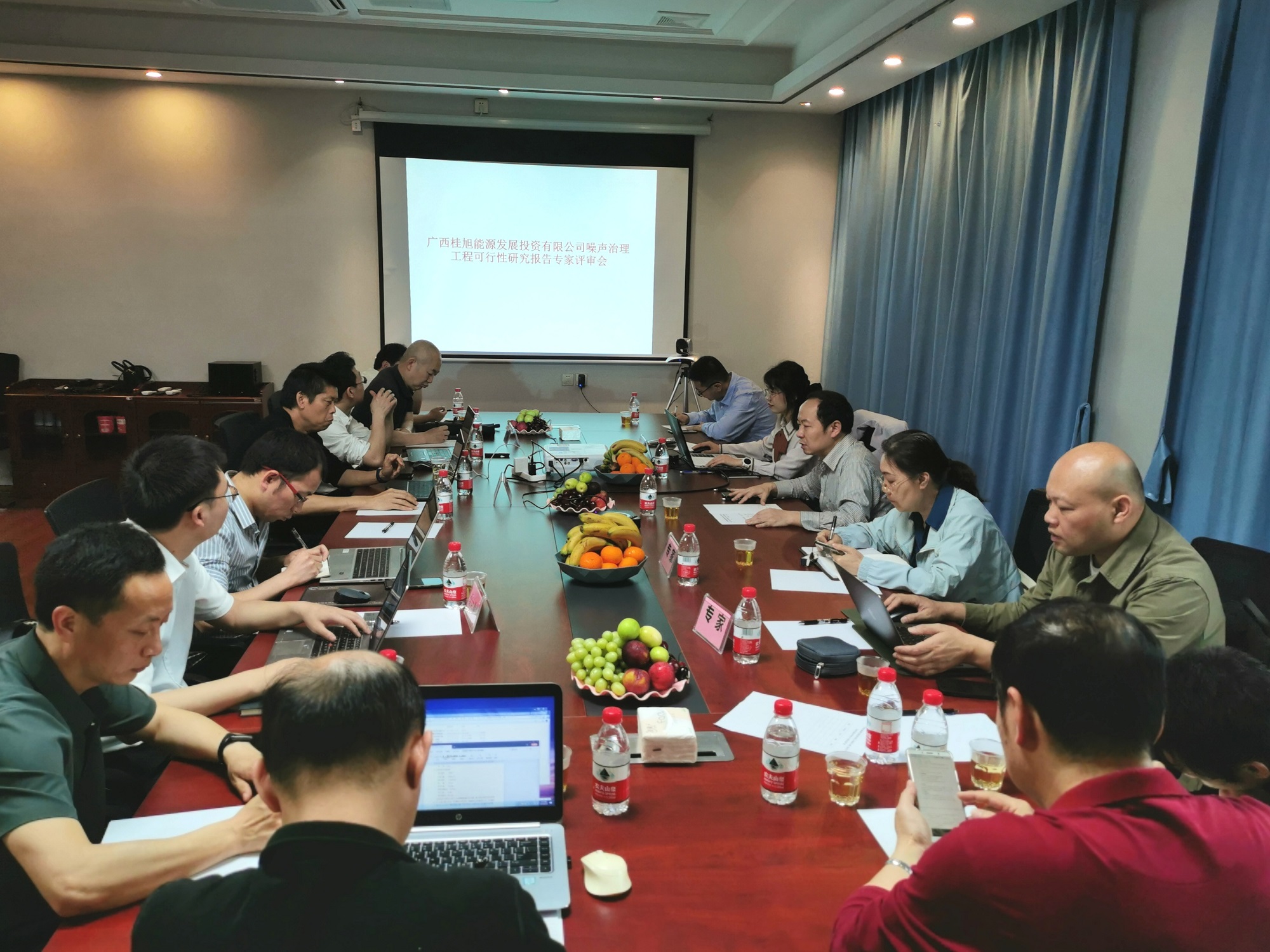 师源顺利召开《广西桂旭能源发展投资有限公司噪 声治理工程可行性研究报告》技术评审会